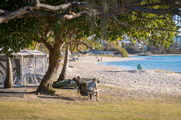 tree services Sunshine Coast