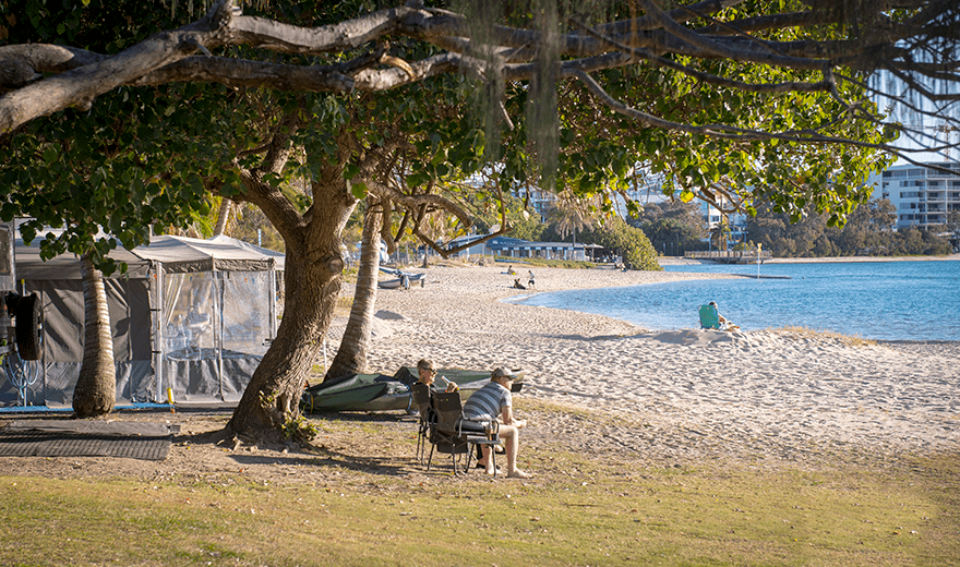 tree services Sunshine Coast