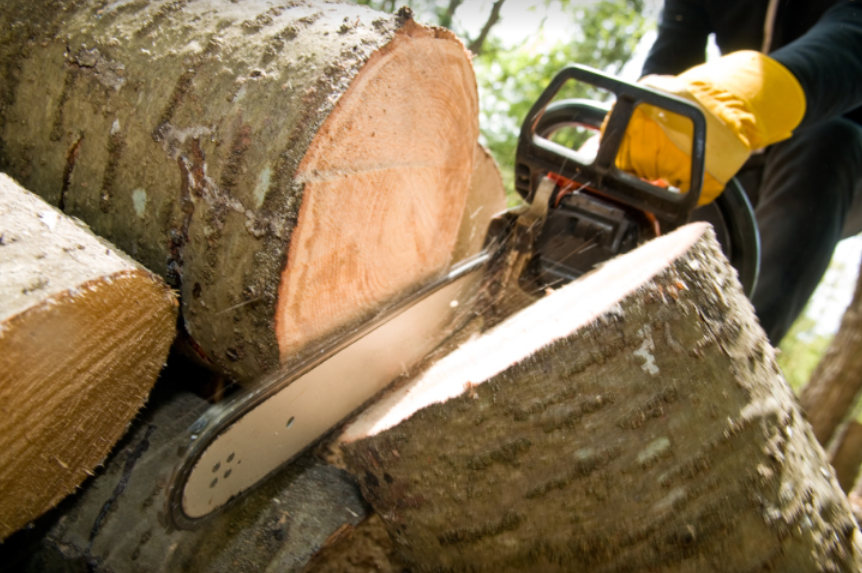 Tree cutting service