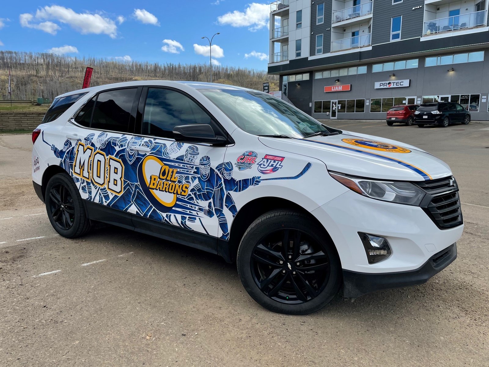 Vehicle Wraps