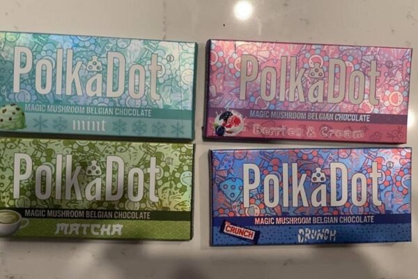 Polkadot Mushroom Chocolate Guide for Safe Enjoyment
